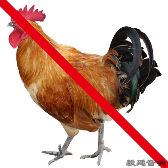 汽车音箱喇叭 汽车音箱喇叭