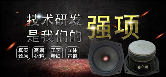 5寸中低音喇叭无线桌面音箱8欧30W外磁扬声器 5寸中低音喇叭无线桌面音箱8欧30W外磁扬声器