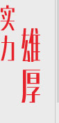 实力雄厚 实力雄厚