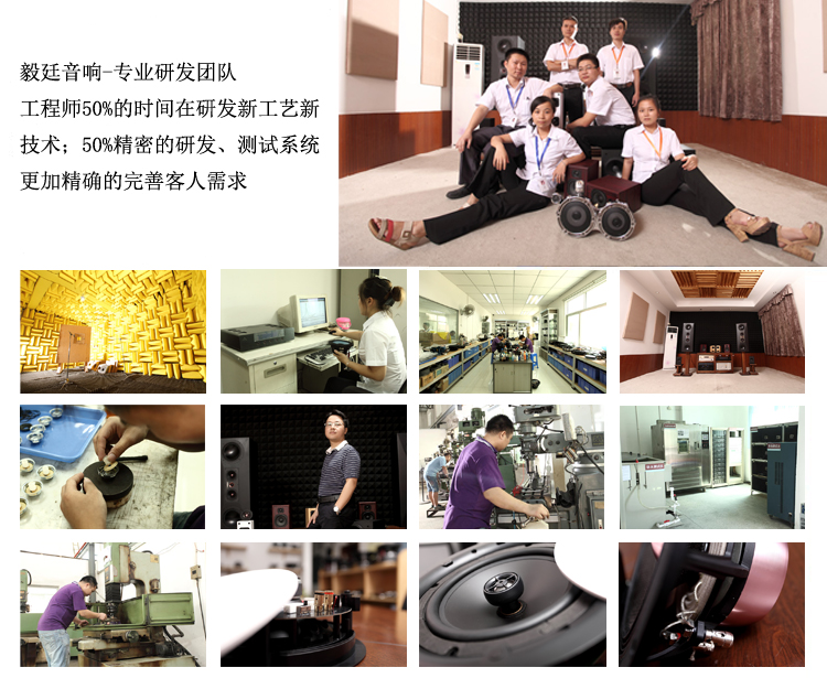 4寸HIFI中音喇叭研发团队
