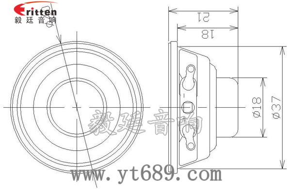 40mm13芯2瓦小喇叭成品图