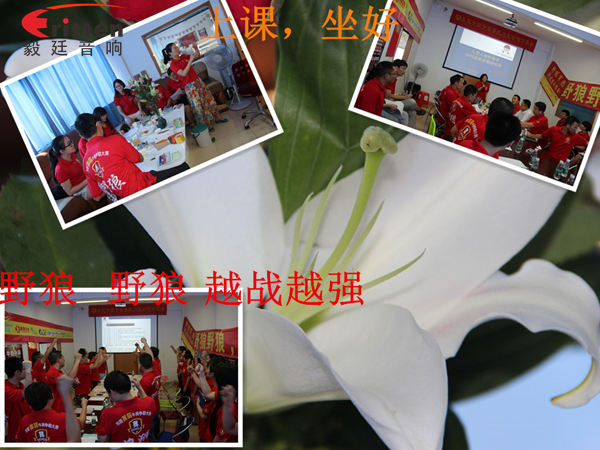 beat365喇叭厂参与跟着野狼越战越强,金光闪闪的钱阿~钱